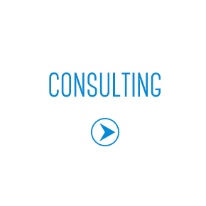 CONSULTING